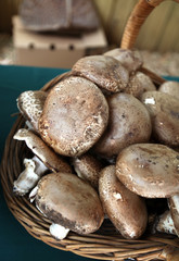 shiitake mushrooms