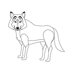 wolf icon over white background. vector illustration