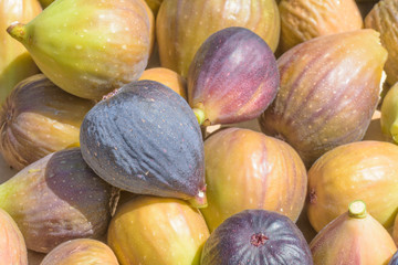 Pile of Fresh Figs