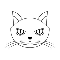 cat icon over white background. vector illustration