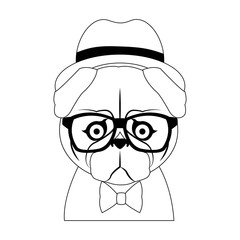 pug dog with glasses icon over white background. hipster style concept. vector illustration