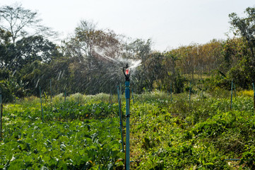 Sprinkler watering system