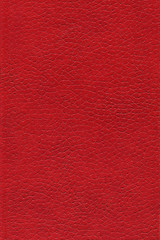 Background of red leather