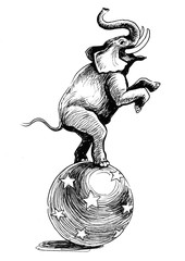 Elephant in the circus © berdsigns