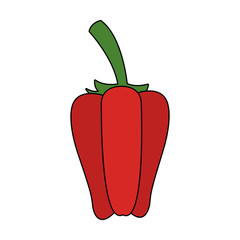 red bell pepper vegetable icon image vector illustration design 