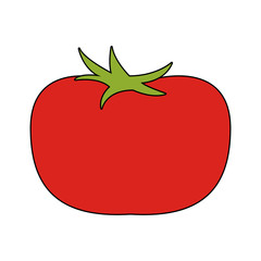 tomato vegetable icon image vector illustration design 