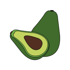 avocado vegetable icon image vector illustration design 