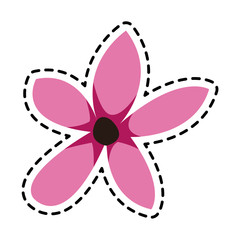 single pink delicate flower icon image vector illustration design 