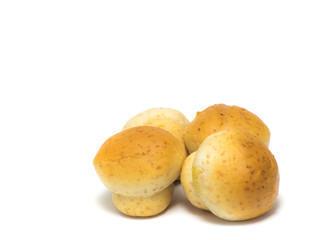 Tuna and shredded chicken mini whole wheat bun bread