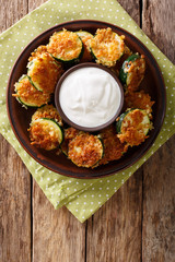 Fried zucchini slices in breaded Panko with sour cream close-up. Vertical top view