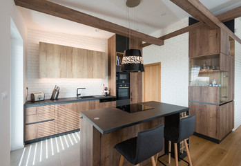 Contemporary kitchen interior