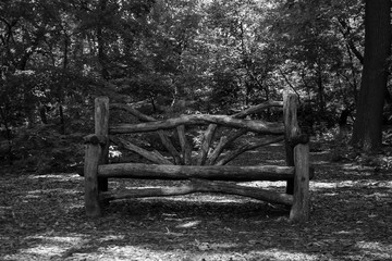 Wood bench at the park in black and white style