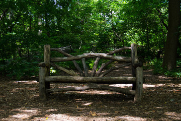 Wood bench under the shade of tree