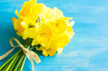 Crédence de cuisine en verre imprimé Narcisse Spring concept with bright yellow daffodil flowers