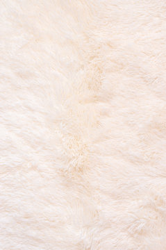 Shaggy fur texture