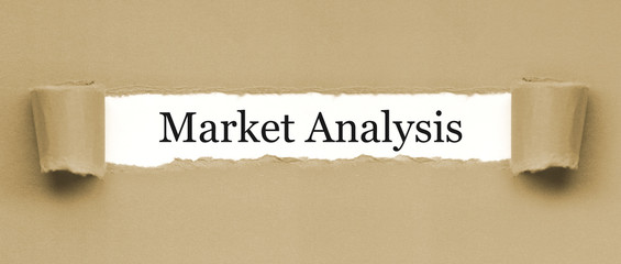 Market Analysis / papier