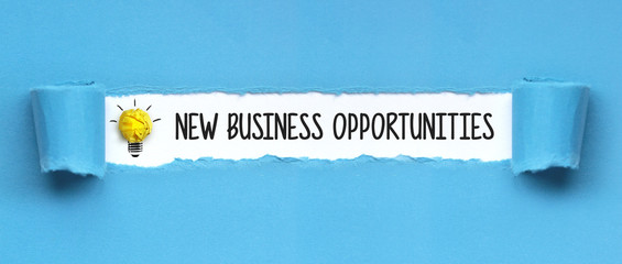 new business opportunities/ papier