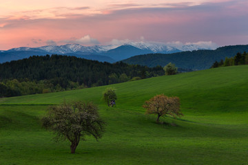 view of mountain field and meadow in the heart of Europe