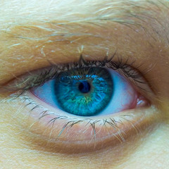 Blue eye closeup
