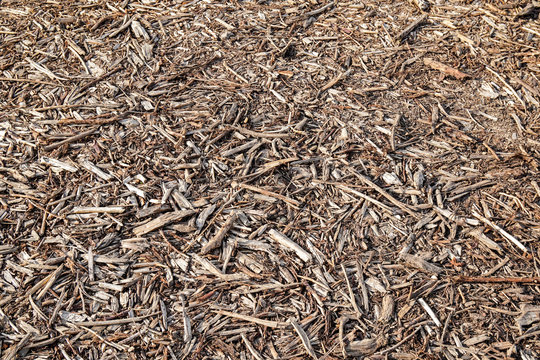 Rindenmulch
