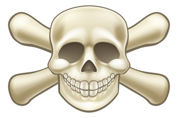 Cartoon Pirate Skull and Crossbones
