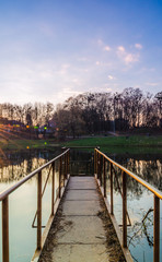 Fototapeta premium City park during the sunset