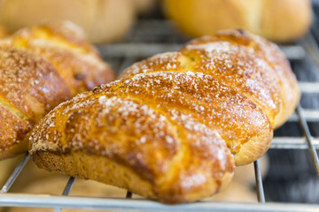 Loafs of sweet Easter breads with leaven