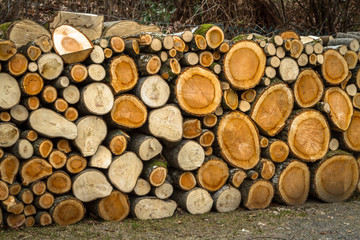 pile of natural wooden logs