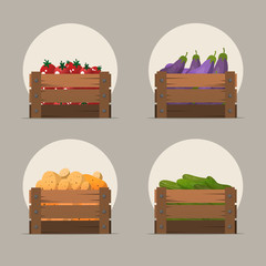 Set of vegetables in flat style. Vector illustration of wooden boxes with tomatoes, cucumbers, eggplant and potatoes.