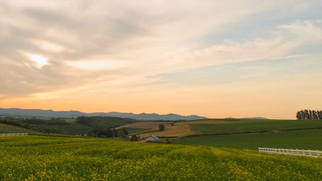 【北海道】美瑛 新栄の丘の夕日 〈タイムラプス〉pan