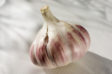 A bulb of garlic on a  simple background. Closeup 6