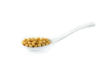 soybean on white background