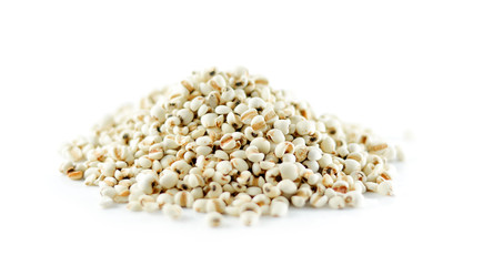 Millet on white background