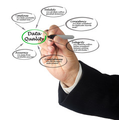 Data Quality