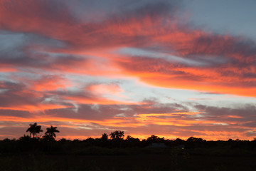 Sunset view with fiery colored skies at Anhinga trail, Florida.