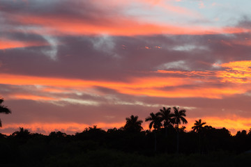 Sunset view with fiery colored skies at Anhinga trail, Florida.