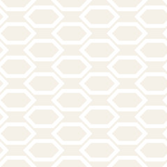 Vector Seamless Pattern. Abstract Geometric Background Design. Stylish Lattice Texture
