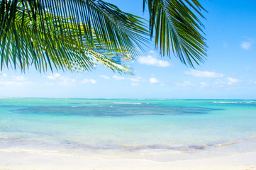 Glück, Freude, Ruhe, Auszeit, Meditation: Traumurlaub an einem einsamen Strand in der Karibik :)