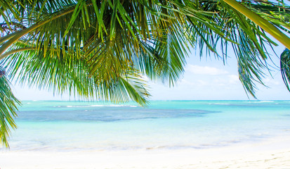 Fototapeta na wymiar Glück, Freude, Ruhe, Auszeit, Meditation: Traumurlaub an einem einsamen Strand in der Karibik :)