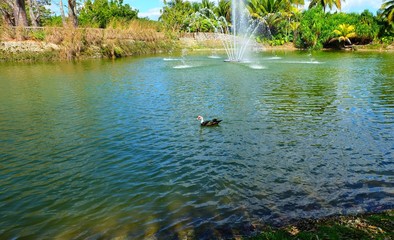 Fruit and Spice Park, Miami Florida
