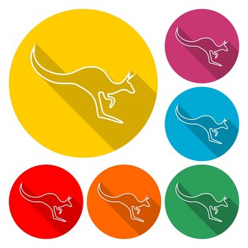 Kangaroo line icon - Illustration