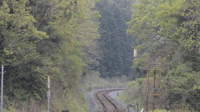 近づくSLのドラフト音、煙、汽笛に胸が高鳴る