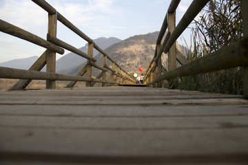 Fototapeta premium Riserva naturale , torbiere del sebino Brescia
