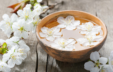 Fototapeta na wymiar Floating flowers ( Cherry blossom) in clay bowl.