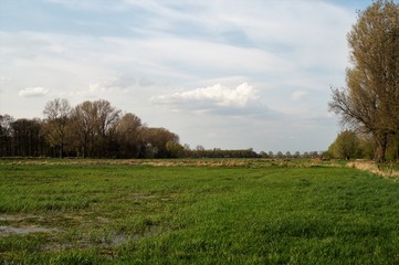 Frühling am Niederrhein bei Grefrath am Niersufer