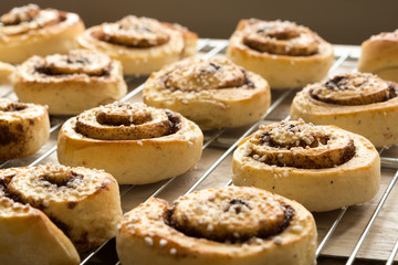 Delicious fresh cinnamon rolls