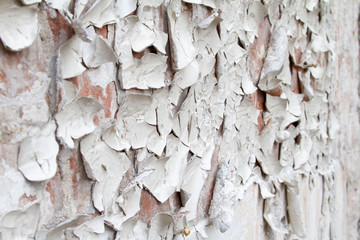 Vintage background texture of old brick masonry on ancient cement with cracks with traces of old paint.