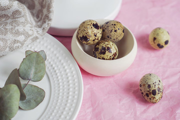 Table setting with white plate, linen napkin, green twig and quail eggs on a pink tissue paper. Prepare to Easter.