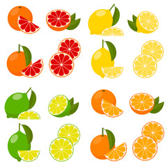 icon set with vector citrus.
