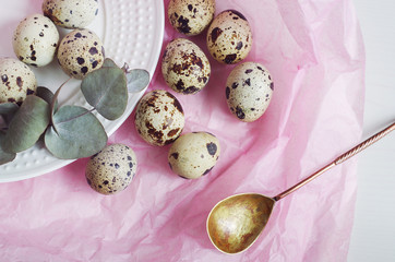 Table setting with white plate, golden spoon, green twig and quail eggs on a pink tissue paper....